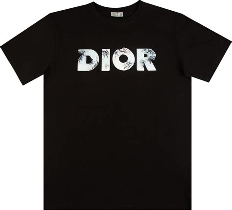 dior arsham logo